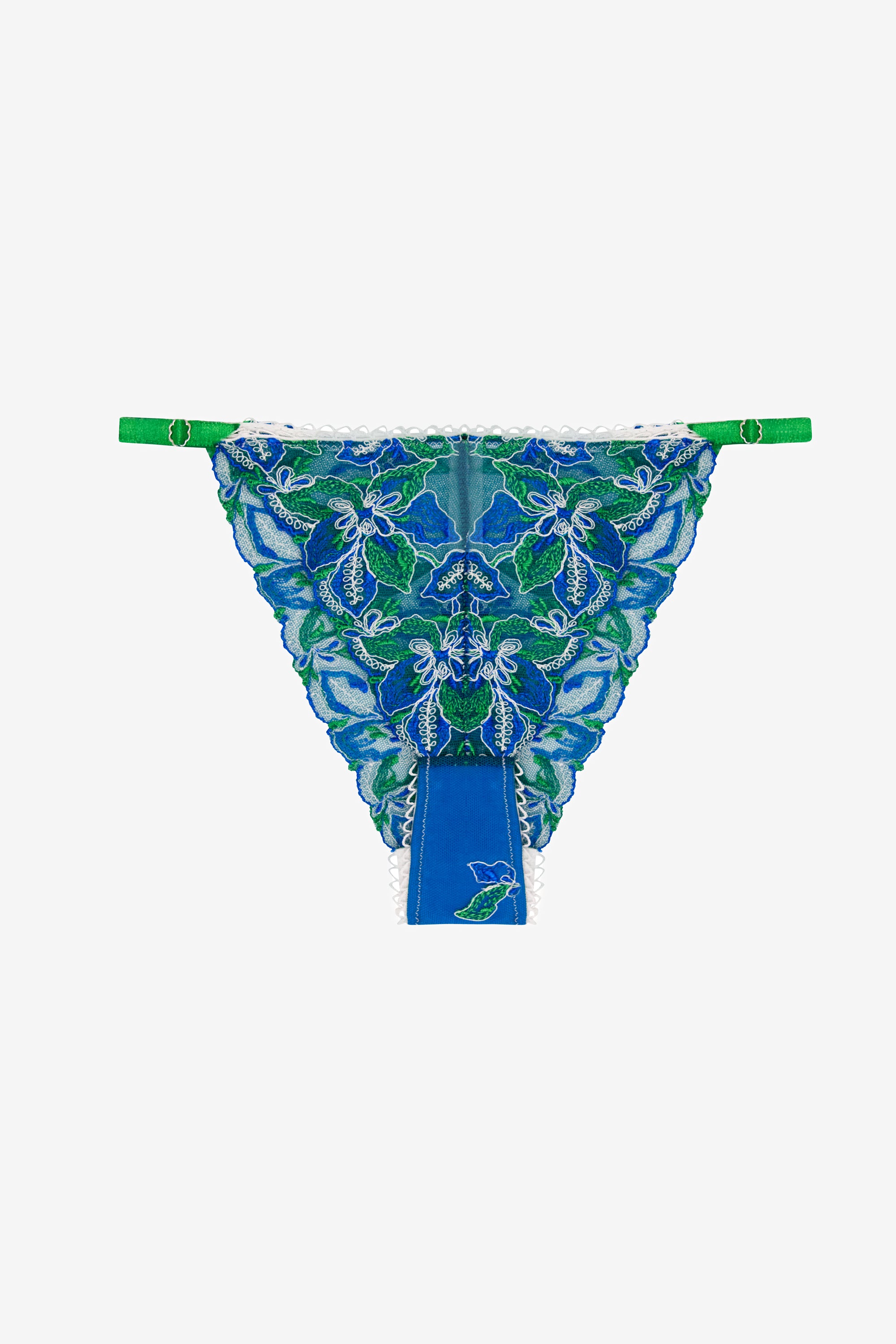 Blue Floral Print Brazilian